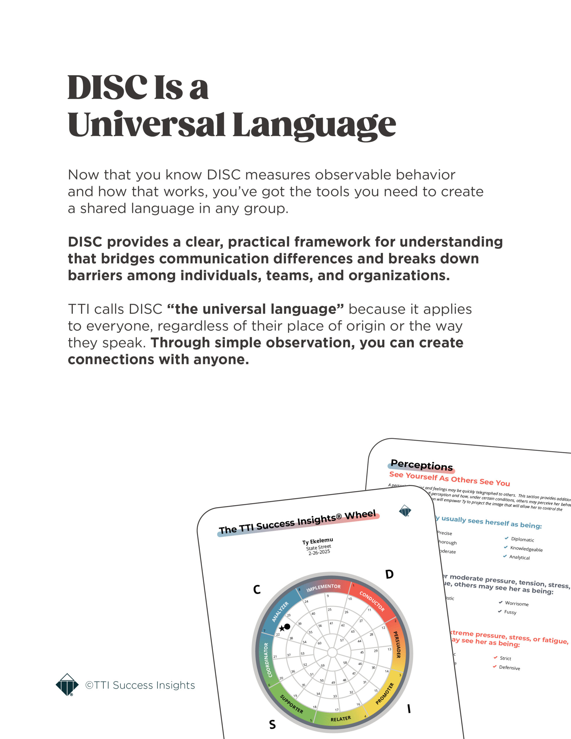 Ebook_DISC the universal language8